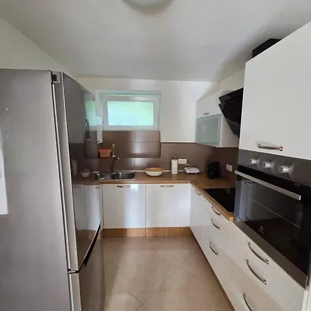 Selcestay * セルツェ